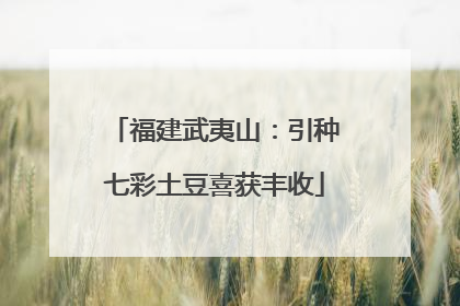 福建武夷山：引种七彩土豆喜获丰收