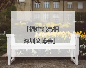 福建馆亮相深圳文博会