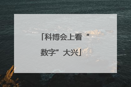 科博会上看“数字”大兴