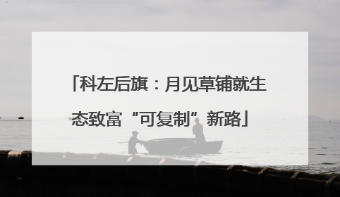 科左后旗：月见草铺就生态致富“可复制”新路
