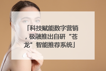 科技赋能数字营销，极融推出自研“苍龙”智能推荐系统