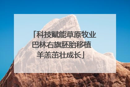科技赋能草原牧业 巴林右旗胚胎移植羊羔茁壮成长