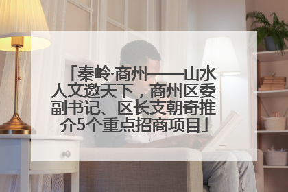 秦岭·商州——山水人文邀天下，商州区委副书记、区长支朝奇推介5个重点招商项目
