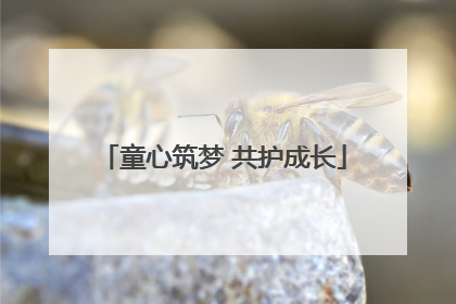 童心筑梦 共护成长