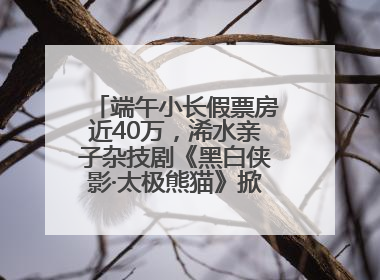 端午小长假票房近40万，浠水亲子杂技剧《黑白侠影·太极熊猫》掀起观演热潮