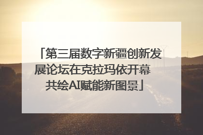 第三届数字新疆创新发展论坛在克拉玛依开幕 共绘AI赋能新图景