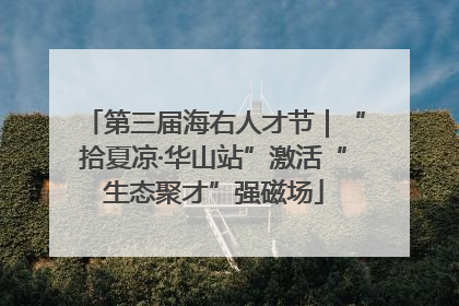 第三届海右人才节｜“拾夏凉·华山站”激活“生态聚才”强磁场