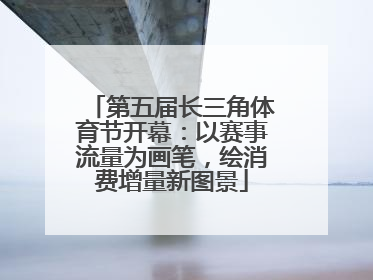 第五届长三角体育节开幕：以赛事流量为画笔，绘消费增量新图景