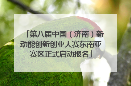 第八届中国（济南）新动能创新创业大赛东南亚赛区正式启动报名