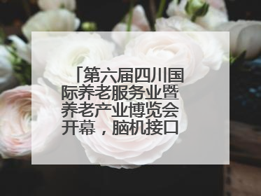 第六届四川国际养老服务业暨养老产业博览会开幕，脑机接口等黑科技亮相