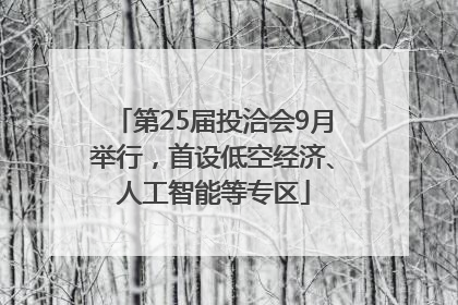 第25届投洽会9月举行，首设低空经济、人工智能等专区