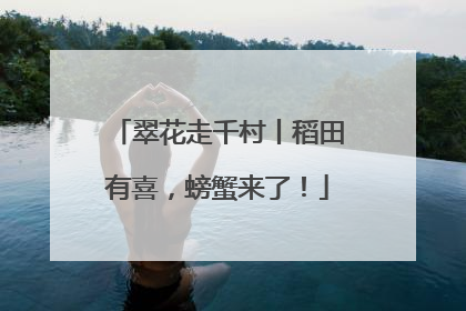 翠花走千村丨稻田有喜，螃蟹来了！