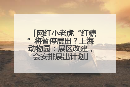 网红小老虎“红糖”将暂停展出？上海动物园：展区改建，会安排展出计划
