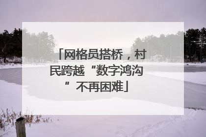网格员搭桥，村民跨越“数字鸿沟”不再困难