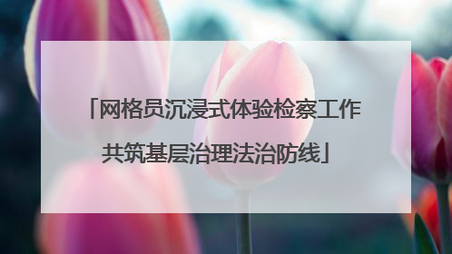 网格员沉浸式体验检察工作 共筑基层治理法治防线