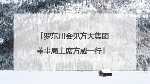 罗东川会见方大集团董事局主席方威一行