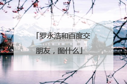 罗永浩和百度交朋友，图什么