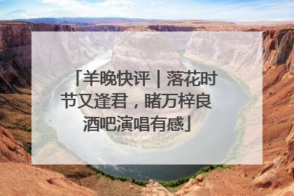 羊晚快评｜落花时节又逢君，睹万梓良酒吧演唱有感