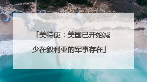 美特使：美国已开始减少在叙利亚的军事存在