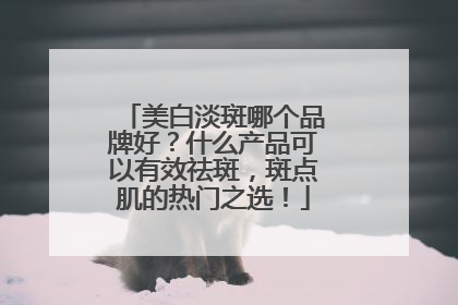 美白淡斑哪个品牌好？什么产品可以有效祛斑，斑点肌的热门之选！