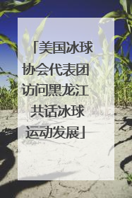 美国冰球协会代表团访问黑龙江 共话冰球运动发展