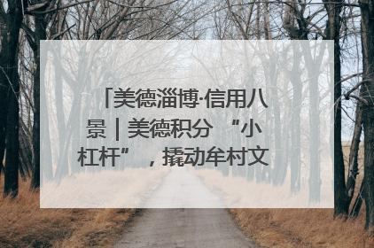 美德淄博·信用八景｜美德积分 “小杠杆”，撬动牟村文明 “大能量”