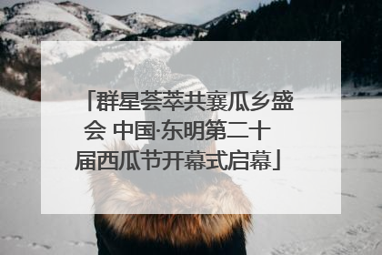 群星荟萃共襄瓜乡盛会 中国·东明第二十届西瓜节开幕式启幕