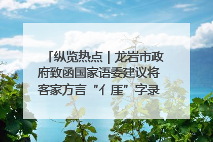 纵览热点｜龙岩市政府致函国家语委建议将客家方言“亻厓”字录入《新华字典》引发热议，当地回应