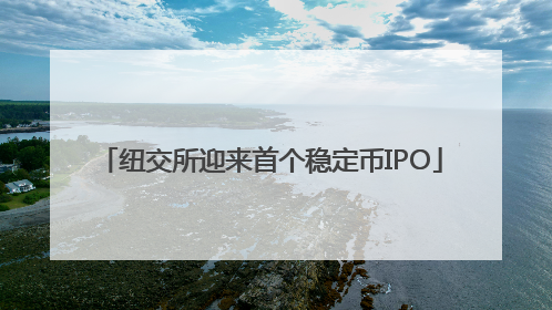纽交所迎来首个稳定币IPO