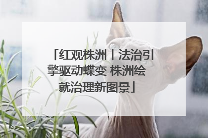 红观株洲丨法治引擎驱动蝶变 株洲绘就治理新图景