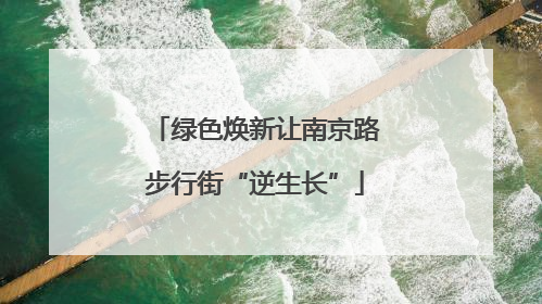 绿色焕新让南京路步行街“逆生长”