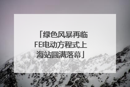 绿色风暴再临 FE电动方程式上海站圆满落幕