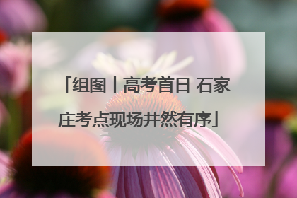 组图丨高考首日 石家庄考点现场井然有序