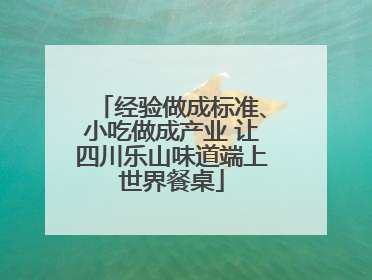 经验做成标准、小吃做成产业 让四川乐山味道端上世界餐桌
