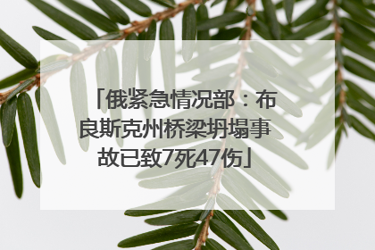 俄紧急情况部：布良斯克州桥梁坍塌事故已致7死47伤