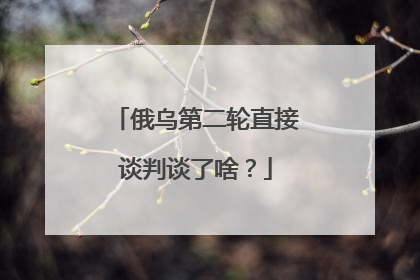 俄乌第二轮直接谈判谈了啥？