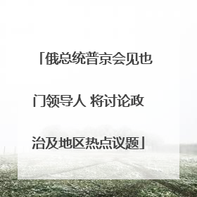 俄总统普京会见也门领导人 将讨论政治及地区热点议题