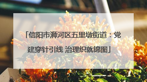 信阳市浉河区五里墩街道：党建穿针引线 治理织就锦图