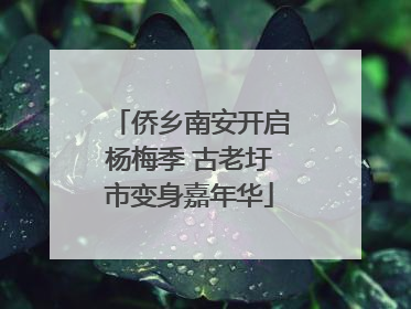 侨乡南安开启杨梅季 古老圩市变身嘉年华