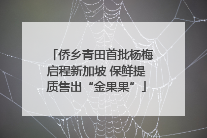 侨乡青田首批杨梅启程新加坡 保鲜提质售出“金果果”