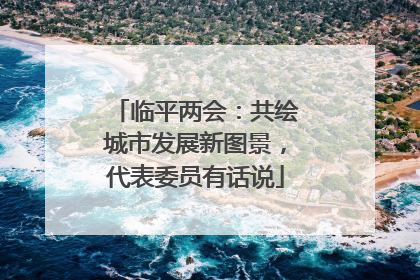 临平两会：共绘城市发展新图景，代表委员有话说