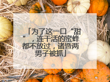 为了这一口“甜”，连干活的蜜蜂都不放过，诸暨两男子被抓