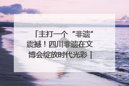 主打一个“非遗”震撼！四川非遗在文博会绽放时代光彩｜文博向“新”