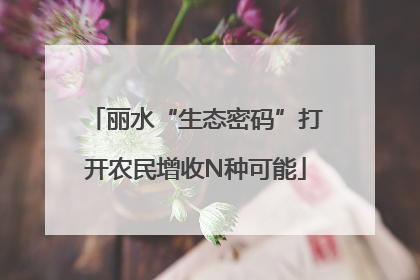 丽水“生态密码”打开农民增收N种可能