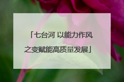 七台河 以能力作风之变赋能高质量发展