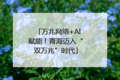 万兆网络+AI赋能！青海迈入“双万兆”时代