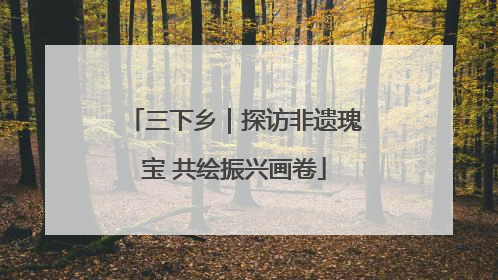 三下乡｜探访非遗瑰宝 共绘振兴画卷