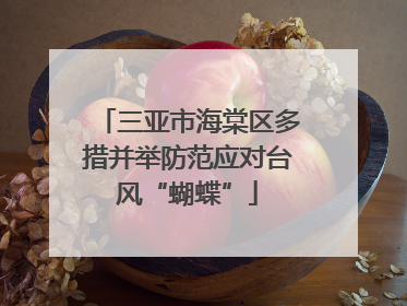 三亚市海棠区多措并举防范应对台风“蝴蝶”