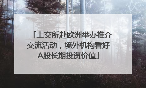 上交所赴欧洲举办推介交流活动，境外机构看好A股长期投资价值