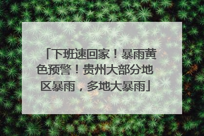 下班速回家！暴雨黄色预警！贵州大部分地区暴雨，多地大暴雨